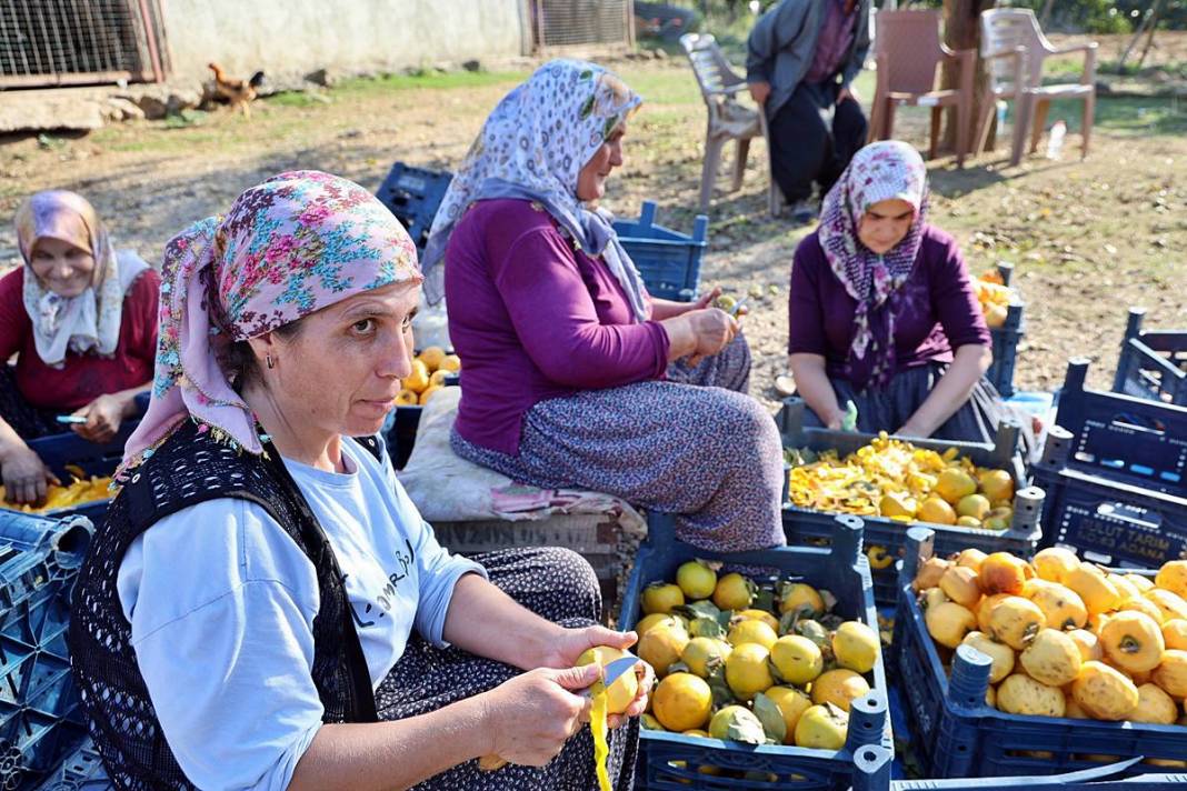 Bu meyvenin yaş kilosu 20 TL, kuru kilosu 200 TL! O köyün en büyük geçim kaynağı 10